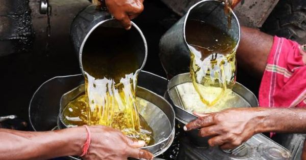 Рослинна олія