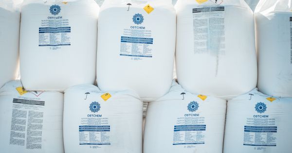 Аміачна селітра