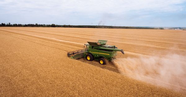 Grains harvesting in Ukraine