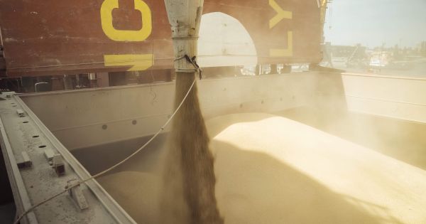 Зерно на судні