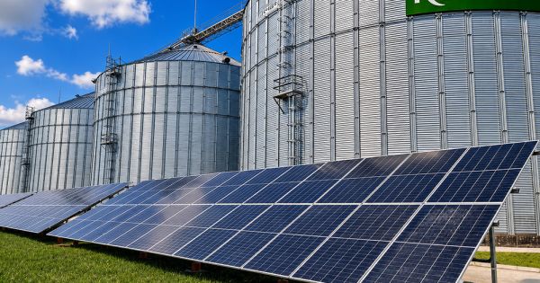 Сонячні панелі на елеваторі Кернел