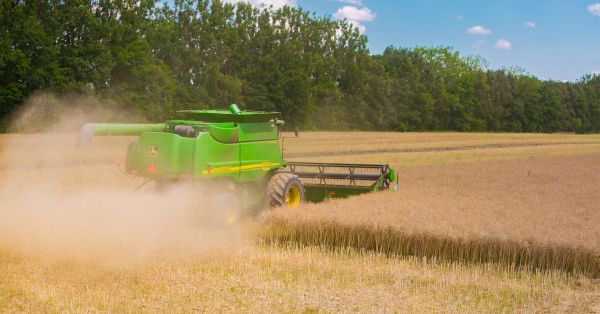 Збір врожаю ріпака на полях КП «Франківськ АГРО», липень 2026 року