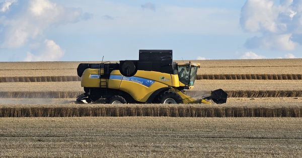 Збір врожаю ранніх зернових на Сумщині