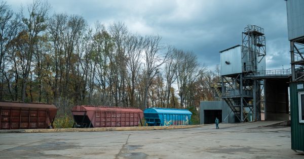 Вагони