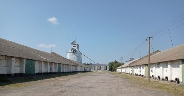 Божедарівський елеватор