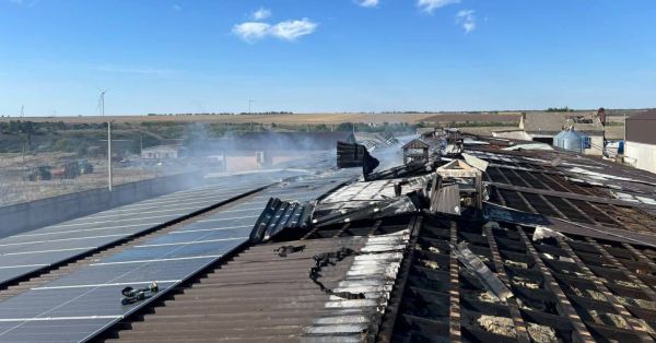 Птахоферма в Одеській області після атаки