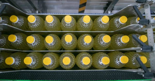Соняшникова олія