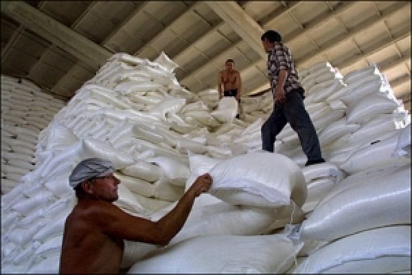 С начала сезона Россия экспортировала более 300 тысяч тонн сахара