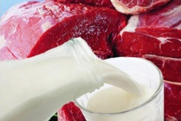 Латвия. Эксперты прогнозируют рост цен на молоко и мясо 
