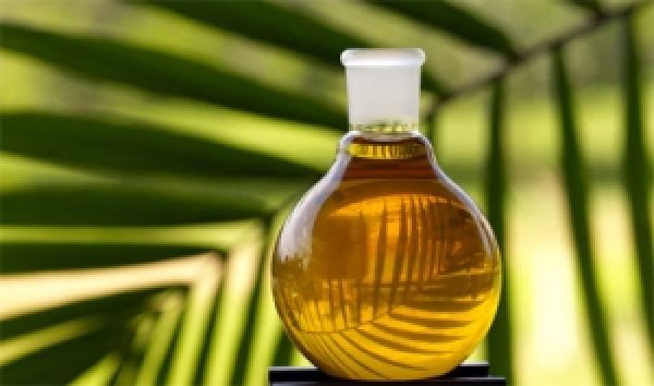 В Украине запретят пальмовое масло