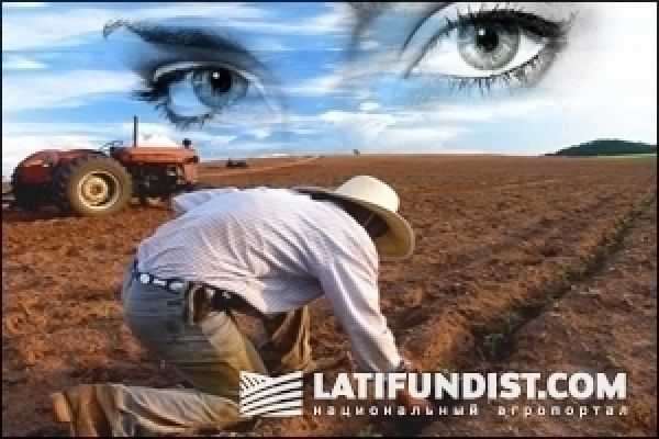 Отмена налоговых льгот  грозит катастрофой для аграриев — Лисситса