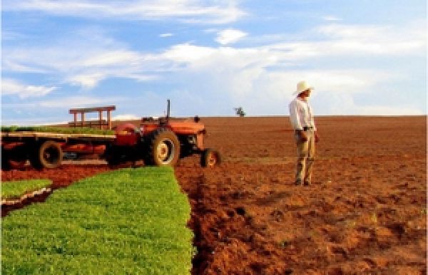 ТОП 10 аграрных предприятий Украины, которые не входят в агрохолдинги