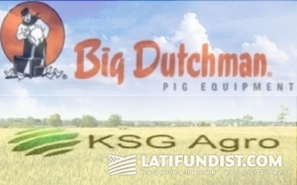 Агрохолдинг KSG Agro завез первую партию свиней датской селекции