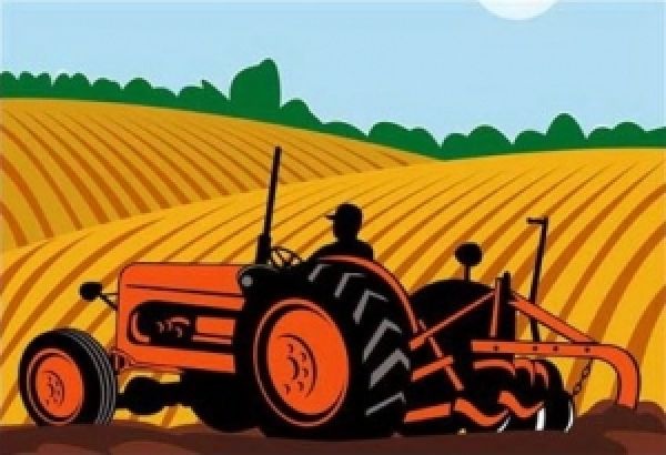 ТОП 7 производителей зерна в Украине. UkrLandFarming — лидер