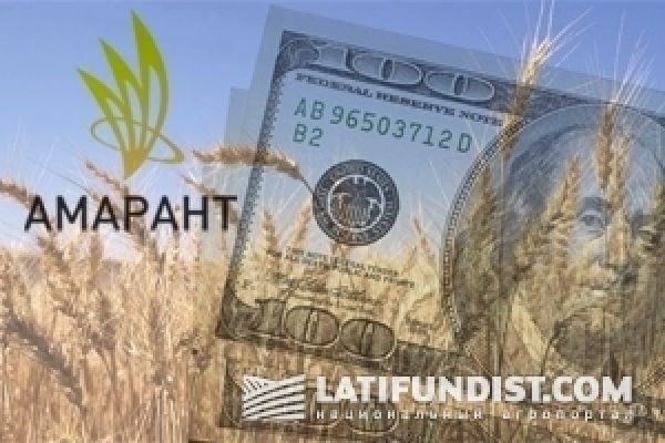 Амарант расширит земельный банк до 50 тыс. га
