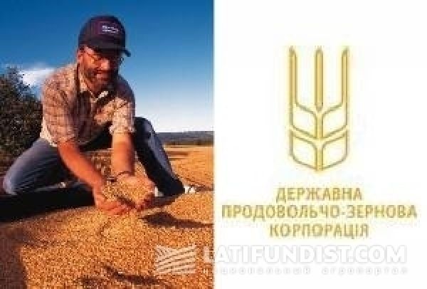 ГПЗКУ закупила 1 млн т зерна по форвардным контрактам