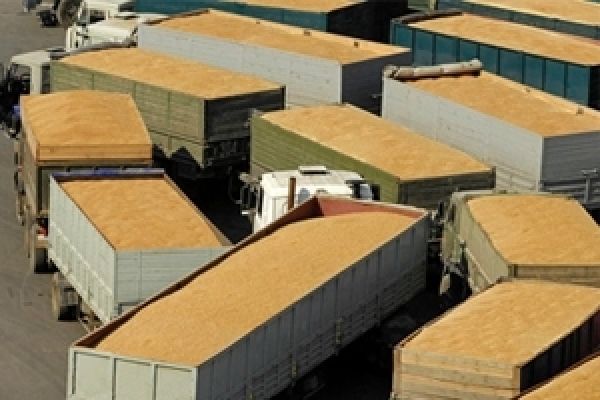 Украина экспортирует 26,68 млн тонн зерновых — USDA