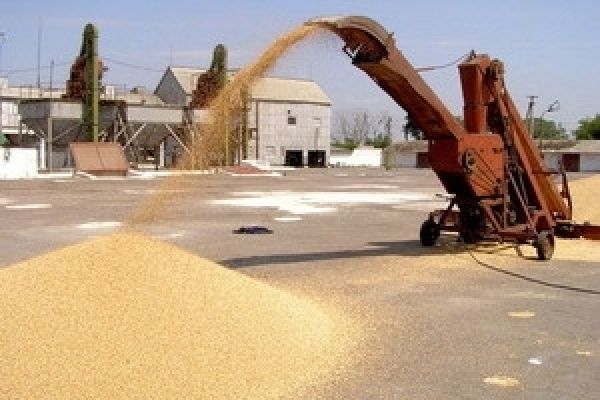Зерновой пул невыгоден для Украины — эксперт
