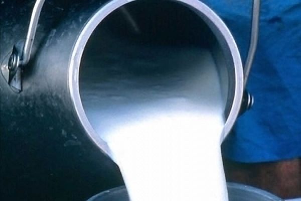 Мировой рынок повысил цены на украинское молоко почти на 20%