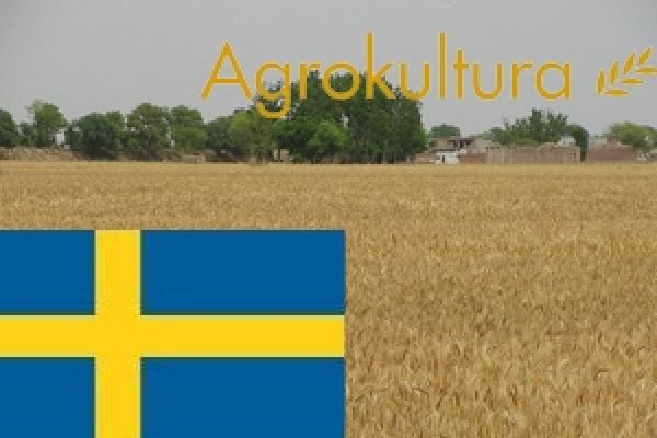 Шведская Agrokultura сократила земельный банк в Украине