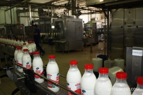 БМК намерен увеличить переработку молока до 400 т/сутки