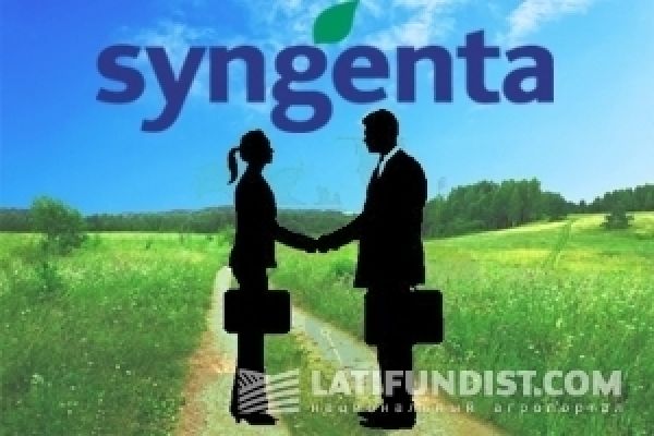 Урожайность зерновых зависит от агротехнических процессов — Syngenta