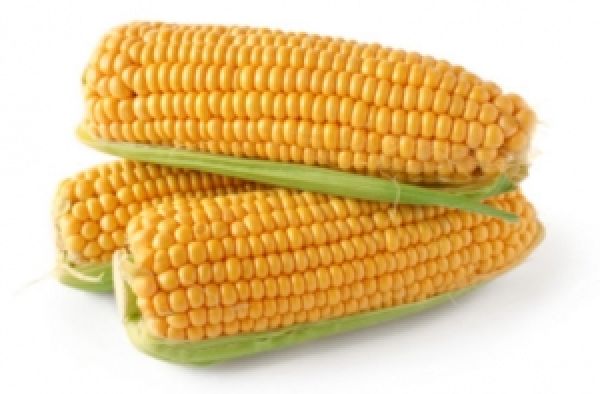 Цены на кукурузу в США упали до трехлетнего минимума
