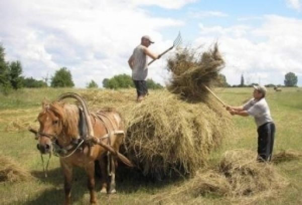 Количество фермерских хозяйств Херсонщины достигло почти 3 тыс.