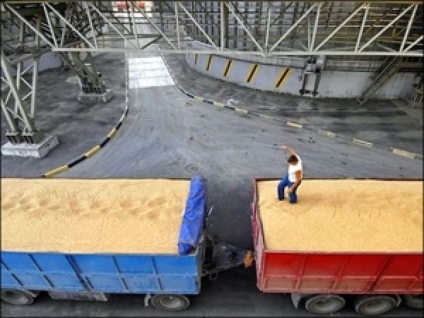 Приднепровская железная дорога увеличила погрузку зерновых в 2,4 раза