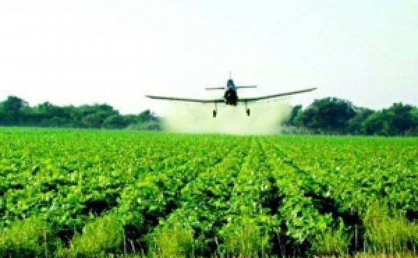 Ограничения на ввоз агрохимии в Украину могут привести к потерям 30% урожая