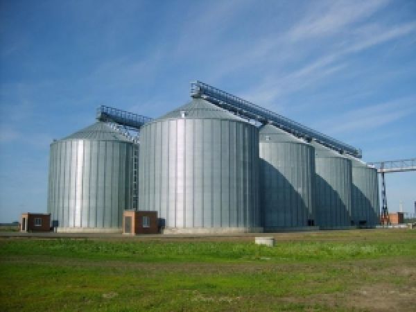 В Херсонской области построят элеватор для хранения риса и пшеницы