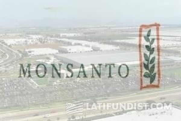 Монсанто не может найти площадку под строительство крупного семенного завода