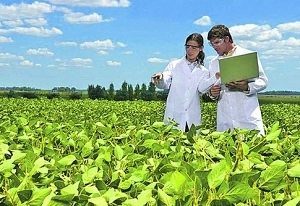 Обучать студентов-аграриев будут с учетом пожеланий работодателей — Минагропрод