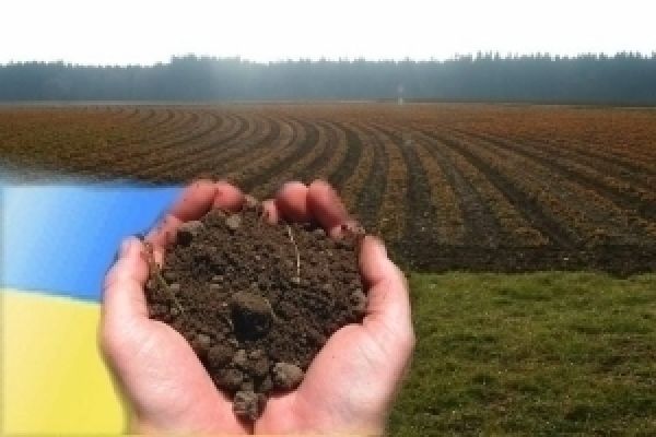 Ликвидация земельных комисий стала важным достижением аграрной отрасли — Госземагентсво