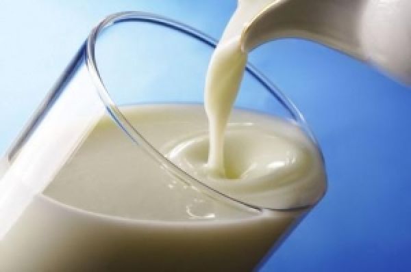 Украина стала больше импортировать молочных продуктов