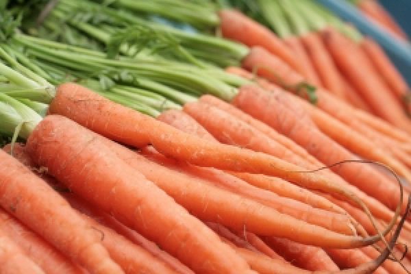 На украинском рынке зафиксировали подорожание моркови
