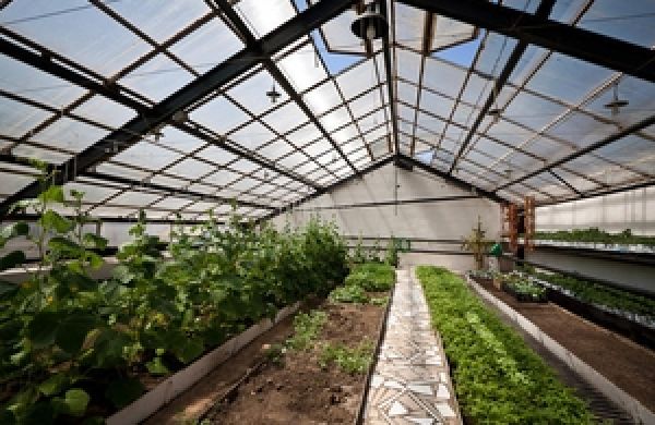 В Харьковской области построят крупный фруктово-овощной терминал