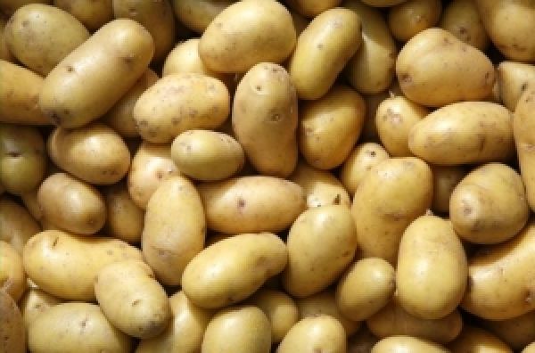 Для экспорта в Европу качество украинского картофеля должно быть выше — мнение