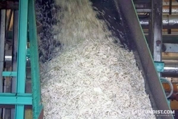 Украгроком на 90% обеспечивает работу сахарного завода собственным сырьем