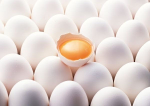 Экспорт яиц из Украины вырос почти в полтора раза — УАК