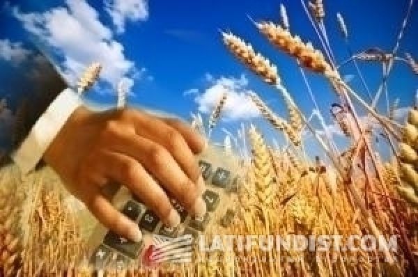 Харьковские аграрии увеличат площади под зерновми на 30 тыс. га