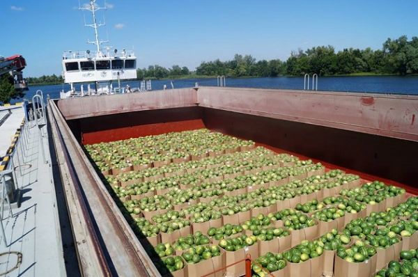 Перевозки арбузов из Херсонской области на баржах