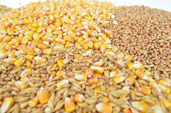 Экспорт зерновых из Украины с начала 2017/18 МГ составил 7 млн т