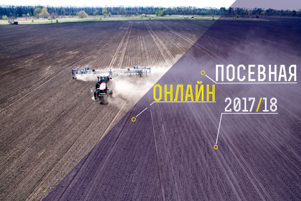 По состоянию на 4 сентября в Украине посеяно уже 29 тыс. га под зерновыми