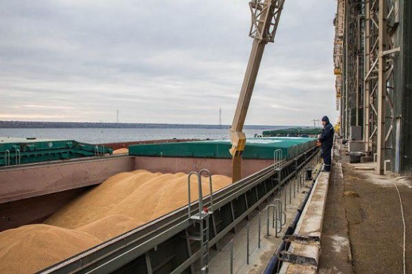 Экспорт зерновых из морпортов Украины составил 301 тыс. т