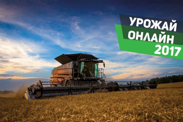 Комбайн Fendt Ideal в ходе уборочной