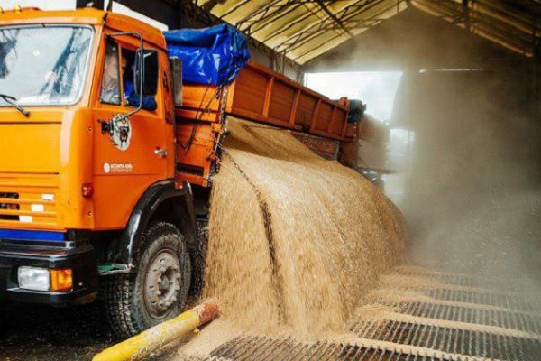 Украина за 9 месяцев 2017 г. экспортировала 12 млн т пшеницы