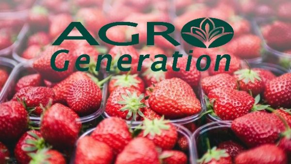 AgroGeneration в 2018 г. закупит оборудование для ягодного кооператива на 300 тыс. грн