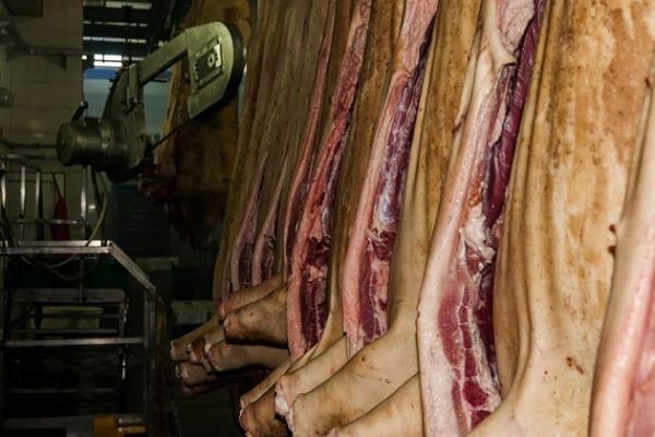 Саудовская Аравия проинспектирует украинских экспортеров говядины
