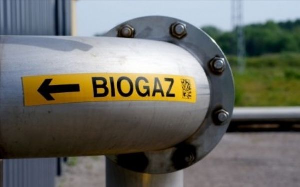 Количество биогазовых проектов после 2020 г. может уменьшится